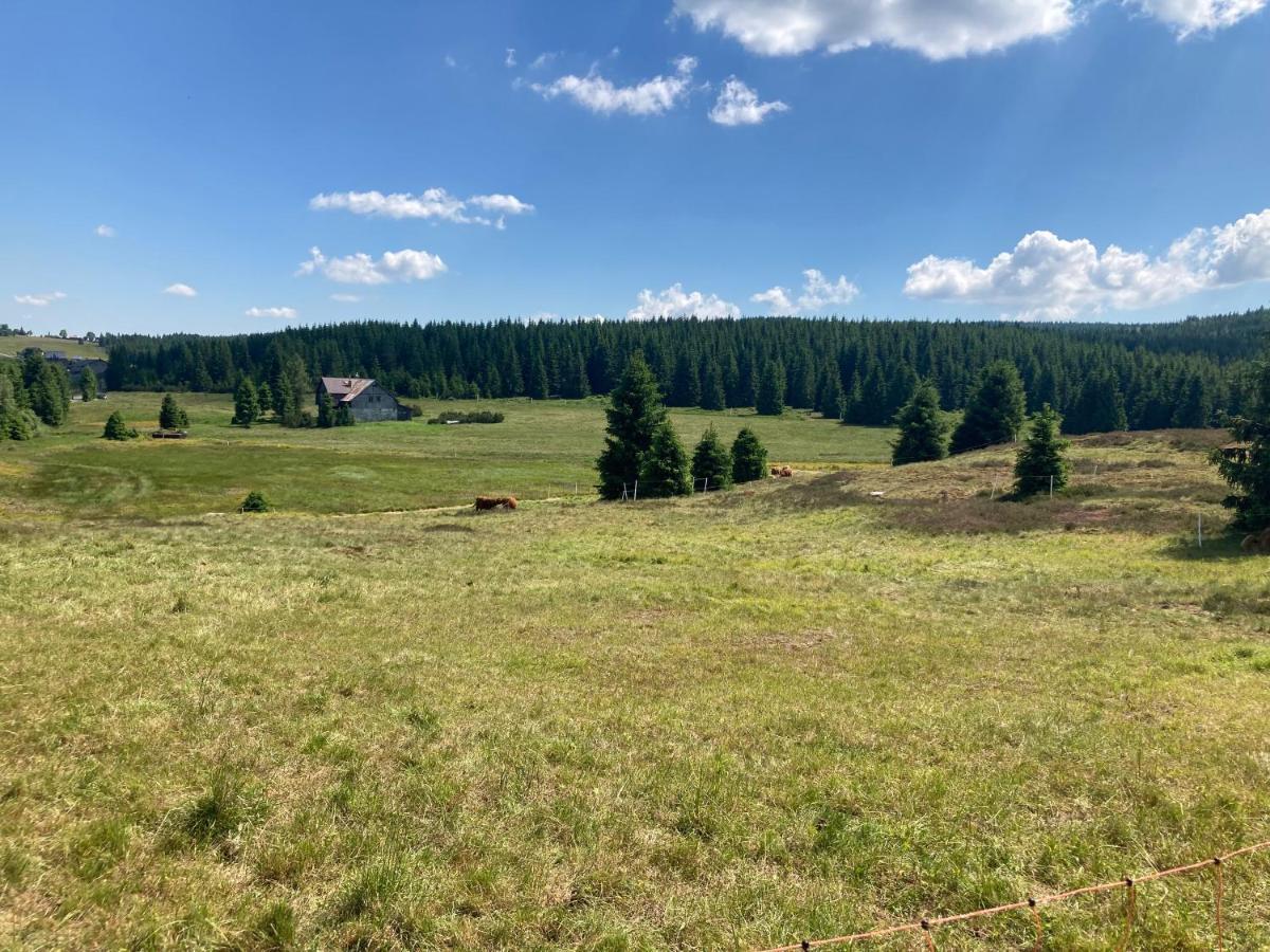 Apartmany V Lese Bedřichov Buitenkant foto