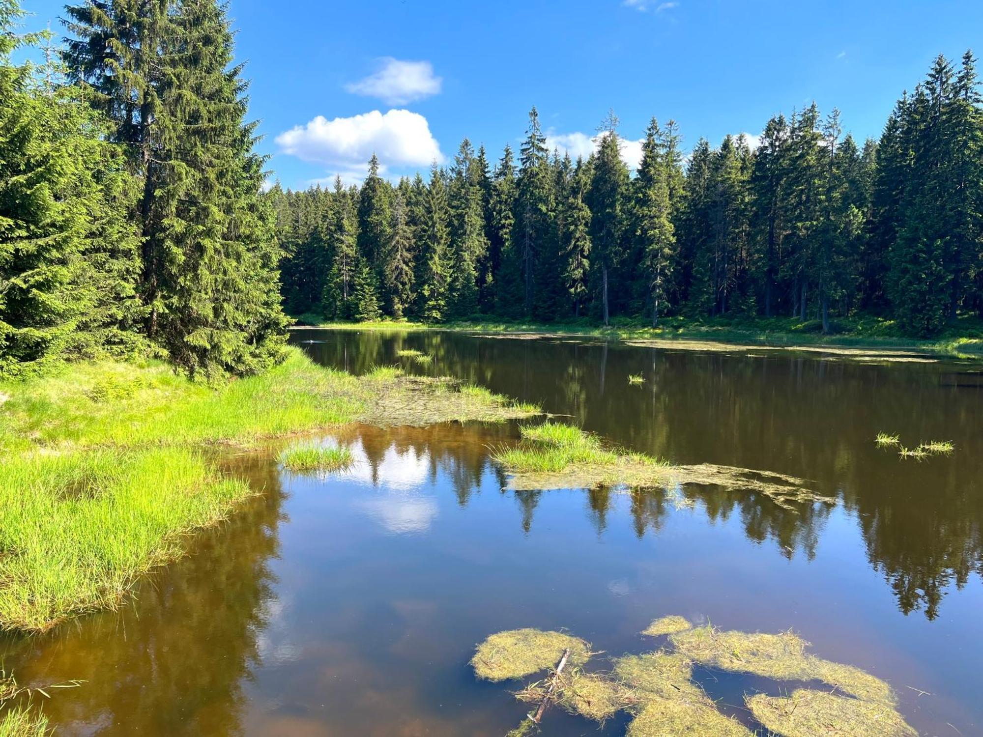 Apartmany V Lese Bedřichov Buitenkant foto