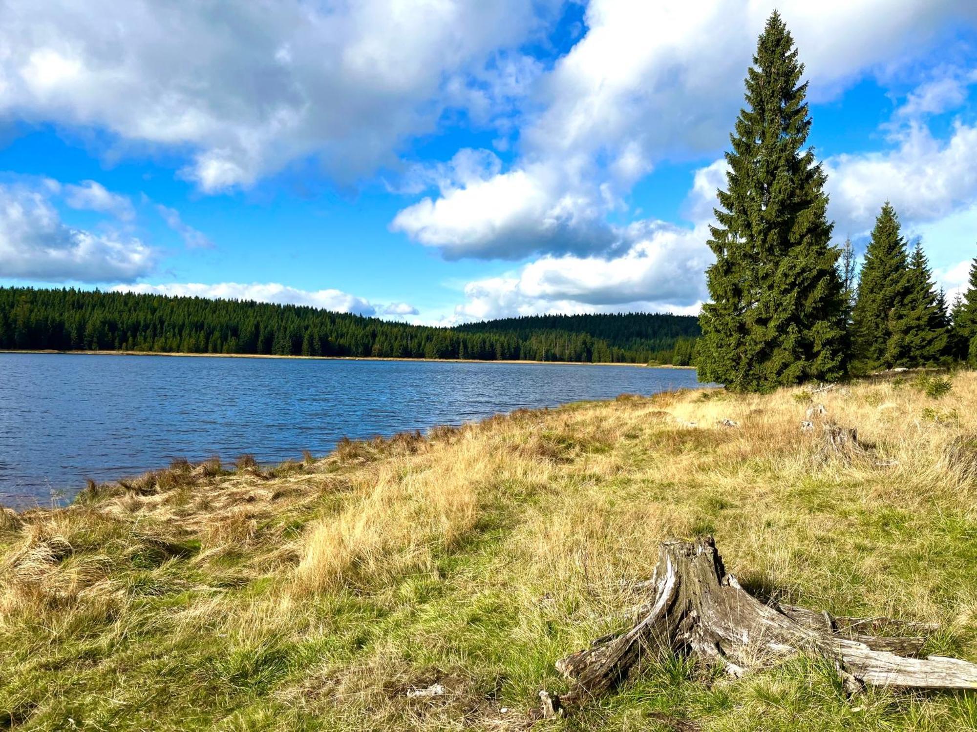 Apartmany V Lese Bedřichov Buitenkant foto