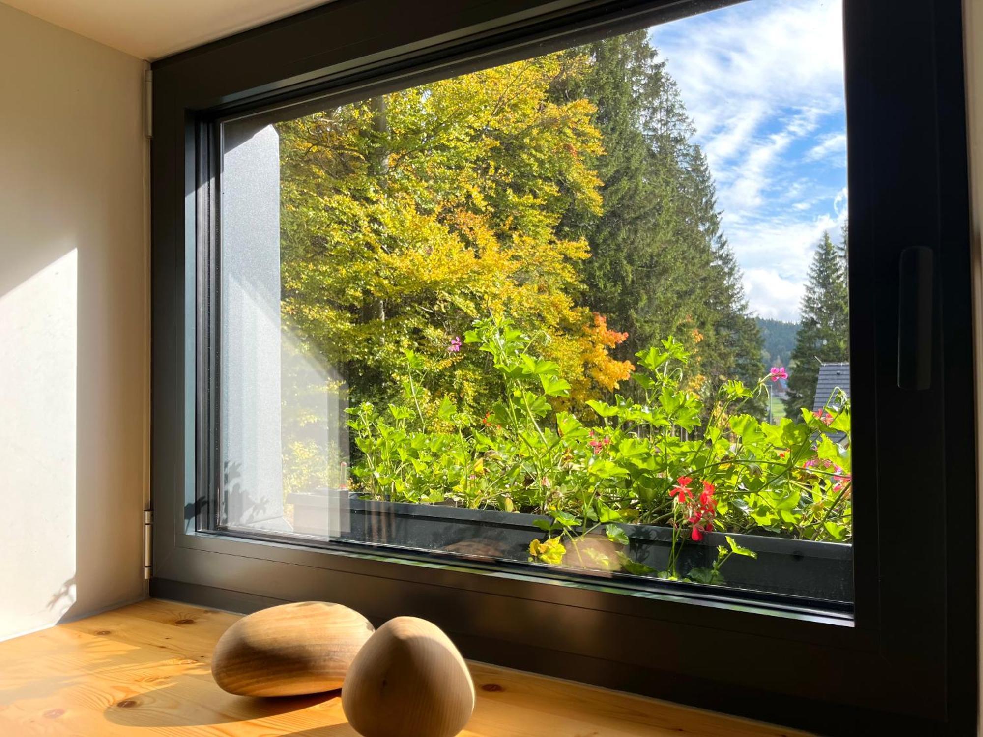 Apartmany V Lese Bedřichov Buitenkant foto