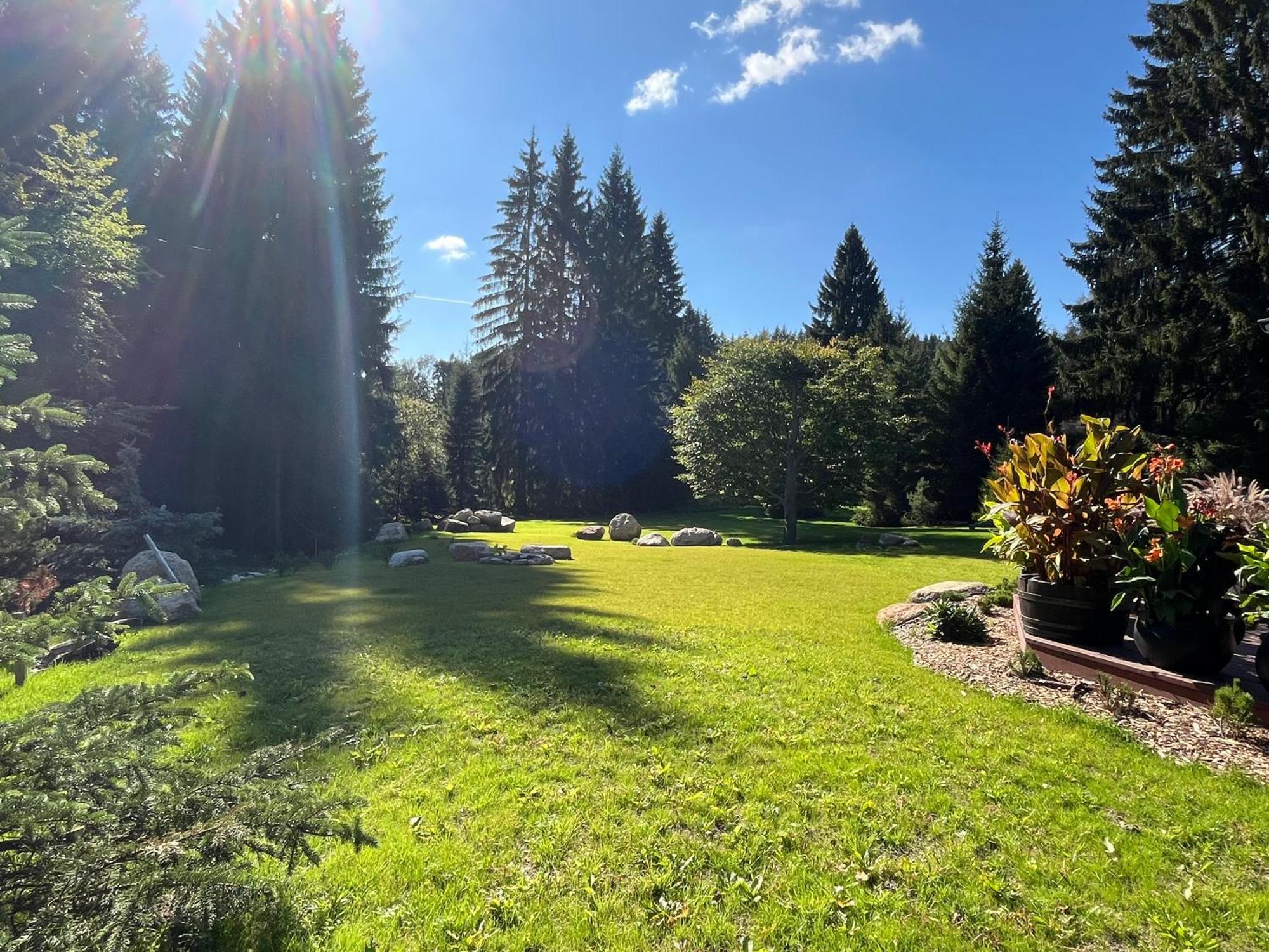 Apartmany V Lese Bedřichov Buitenkant foto